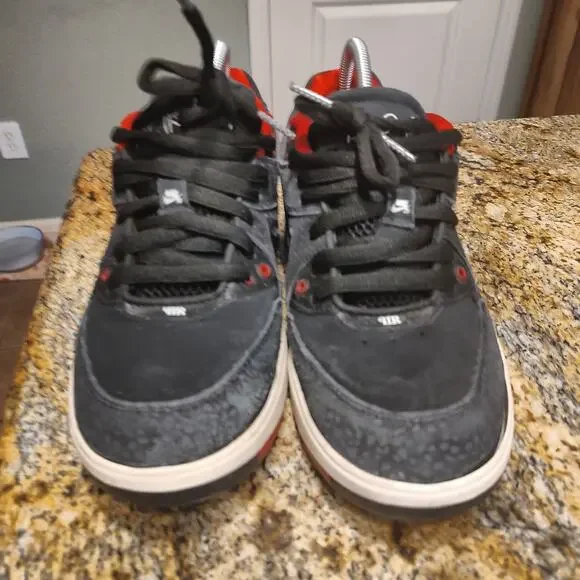 Nike SB Dunk Low Pro Sneakers Black/Red Size 10.5 ID 366620-001 Paul Rodriguez